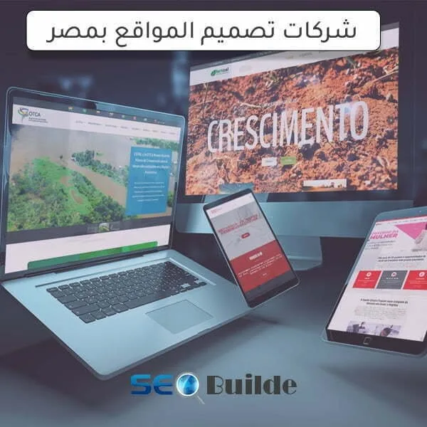شركات تصميم المواقع بمصر