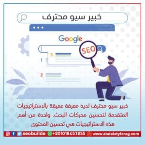 خبير سيو محترف