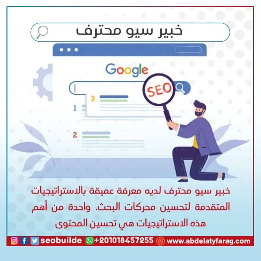 خبير سيو محترف
